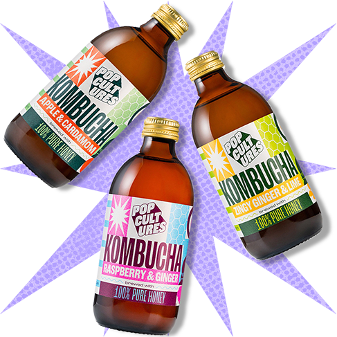 Jun Kombucha Mixed Discovery Case