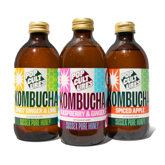 Jun Kombucha Mixed Discovery Case